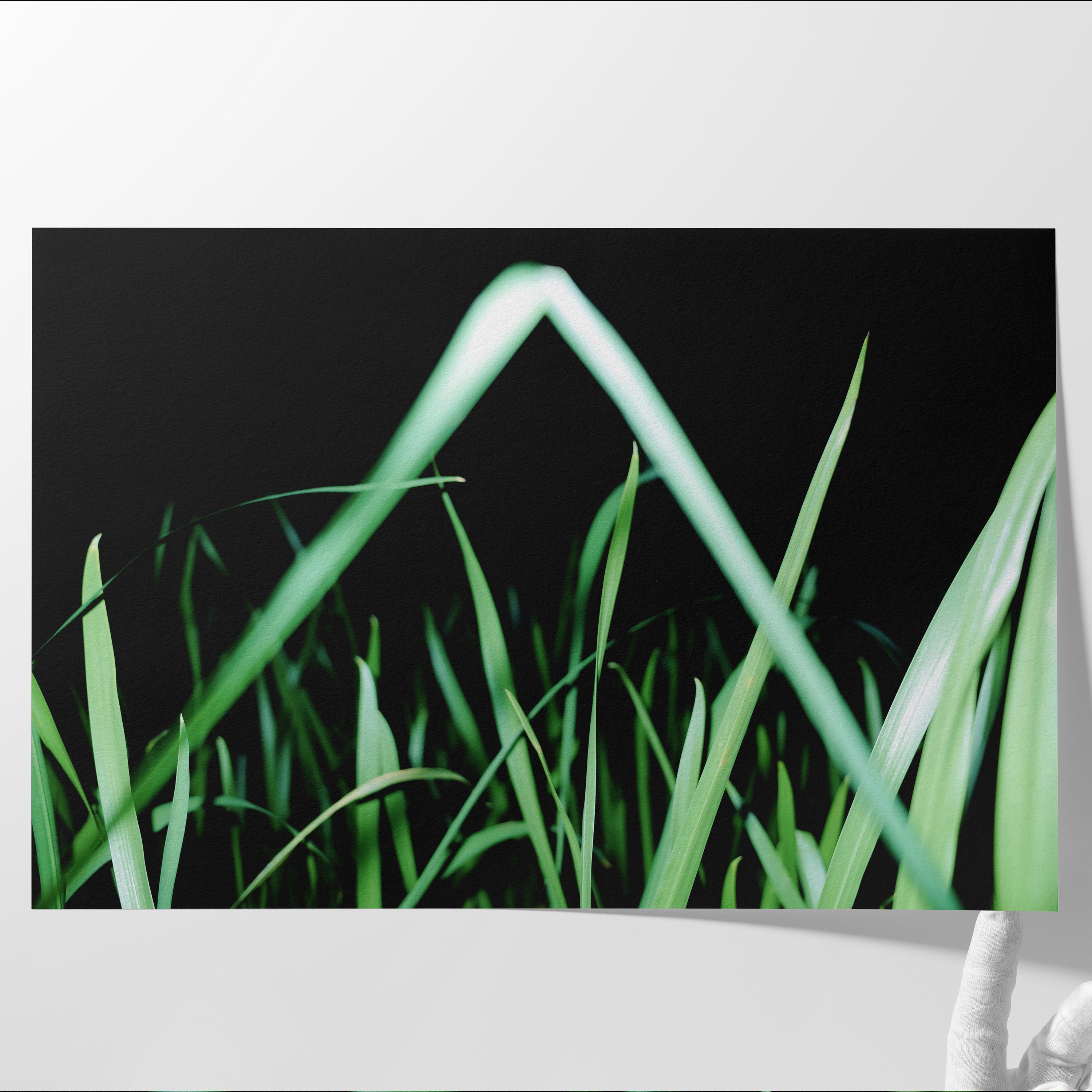 THE GRASS CAN BE GREENER (2024)
